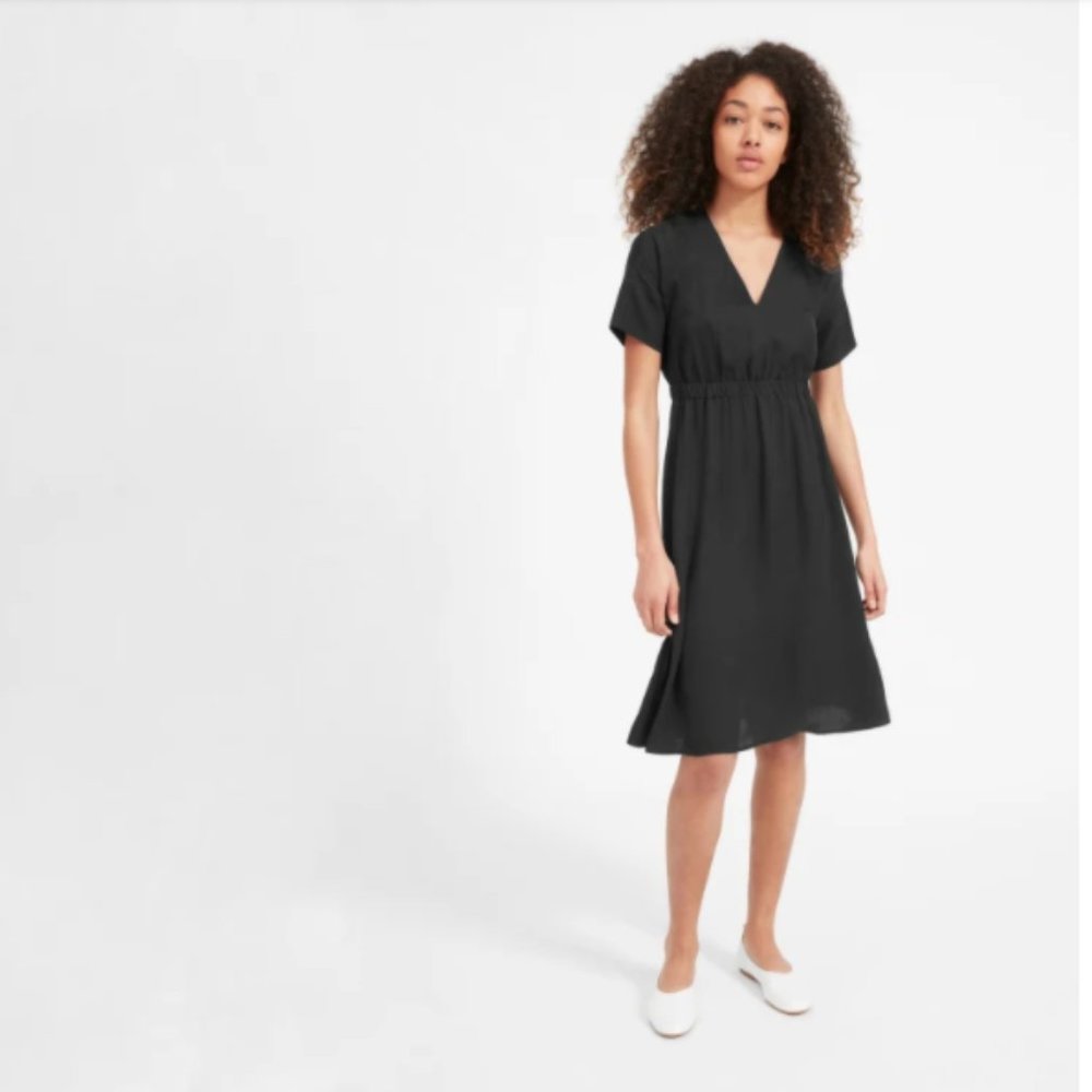 Everlane Japanese GoWeave Light V-Neck Dress